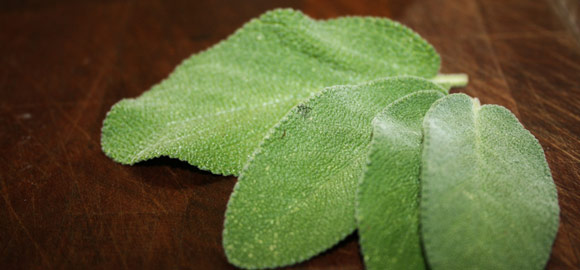 Fresh Sage Leaves