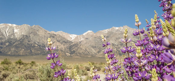 Mountain view from Wild Wild West Marathon trail!