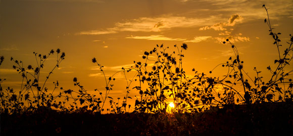 Hauli Sunset