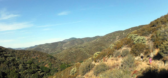 Pacific Crest Trail at Leona Valley Trail Race