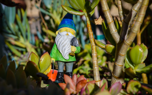 gardener-gnome