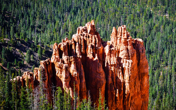 Bryce Canyon Vista 04