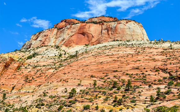 Zion East Temple