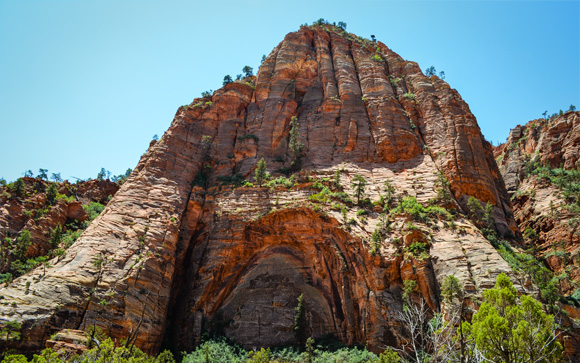 Zion Mountain Hands